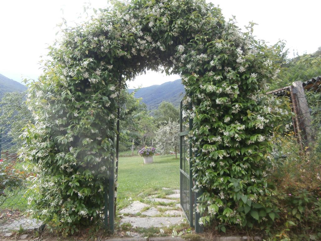 Holiday Home Liliana Faggeto Lario 外观 照片