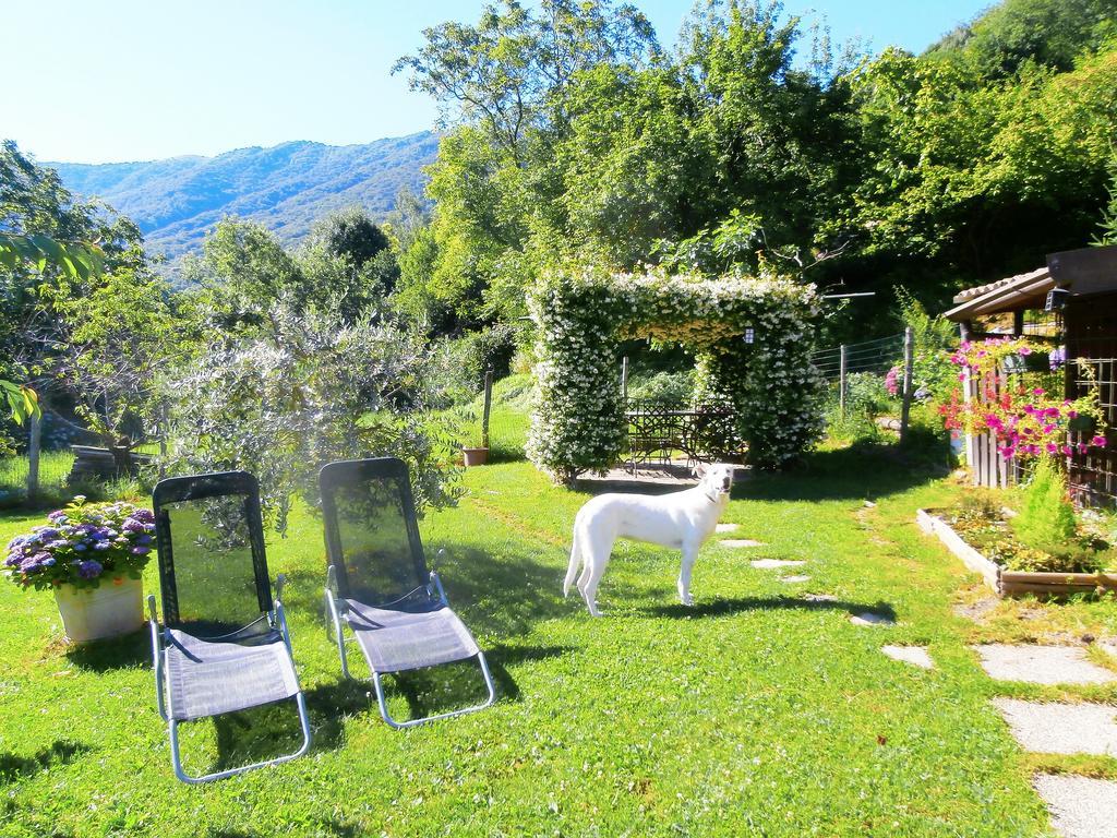 Holiday Home Liliana Faggeto Lario 外观 照片