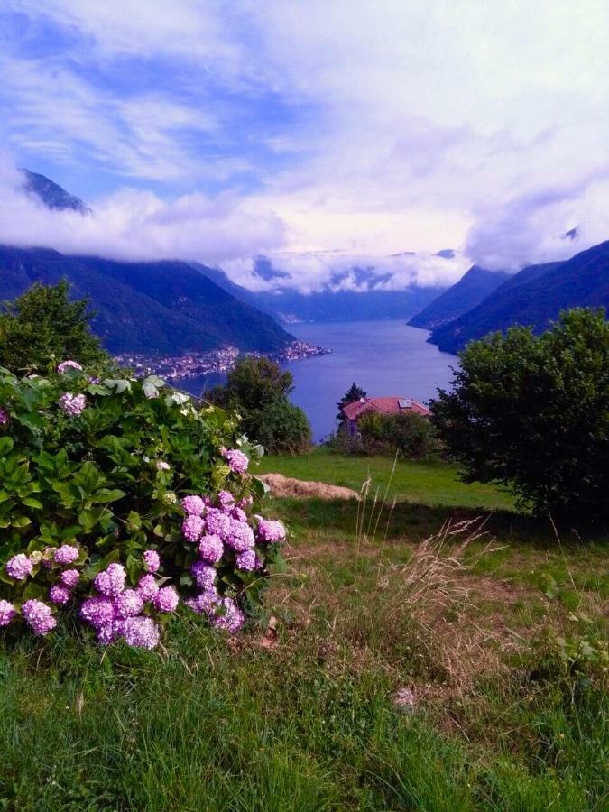 Holiday Home Liliana Faggeto Lario 外观 照片