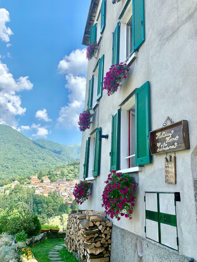 Holiday Home Liliana Faggeto Lario 外观 照片